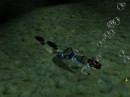   Tomb Raider 2: The Dagger of Xian