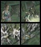    Tomb Raider: Underworld