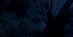 Tomb Raider: The Cradle Of Life 